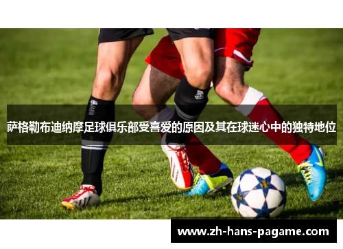 萨格勒布迪纳摩足球俱乐部受喜爱的原因及其在球迷心中的独特地位