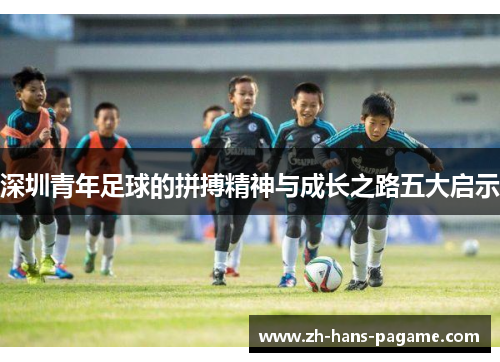 深圳青年足球的拼搏精神与成长之路五大启示