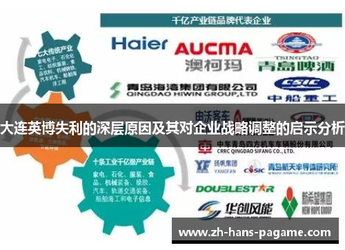 大连英博失利的深层原因及其对企业战略调整的启示分析