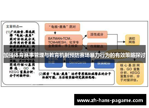 加强体育赛事管理与教育机制预防赛场暴力行为的有效策略探讨