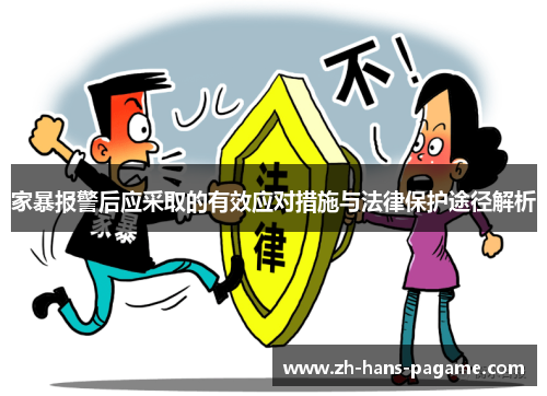 家暴报警后应采取的有效应对措施与法律保护途径解析